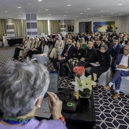 Atelier de présentation du bilan de PRIM 1